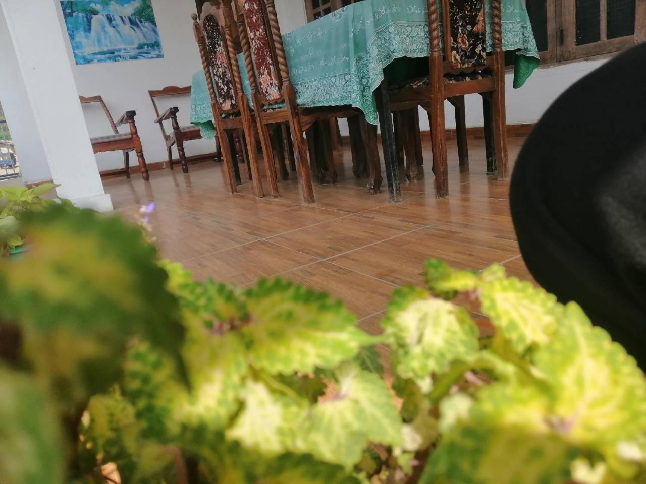 Thilini Homestay Ella Kültér fotó